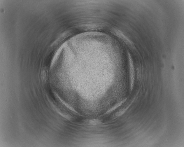 X0000076400165200610271627