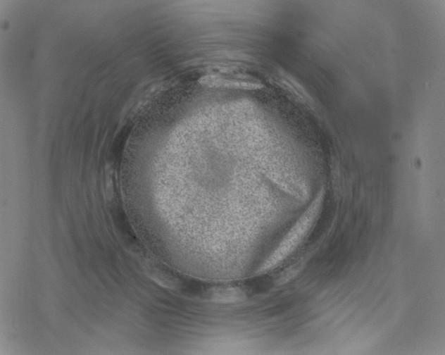 X0000076400169200610271627