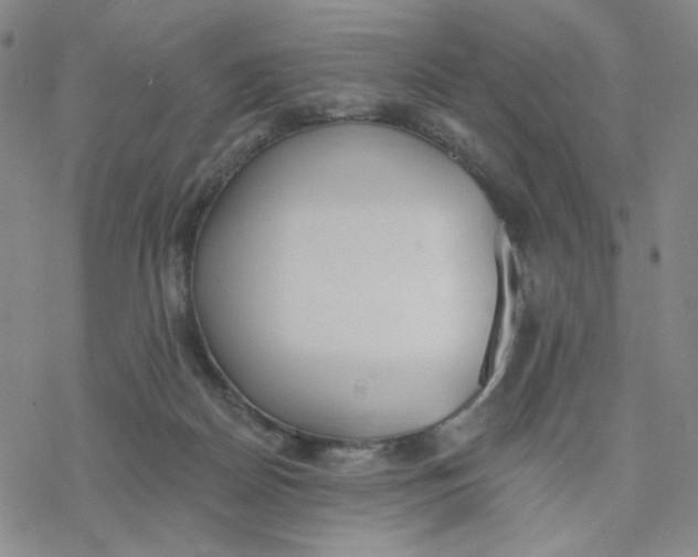 X0000076400170200610271627