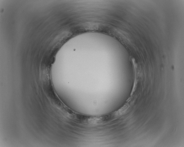 X0000076400172200610271627