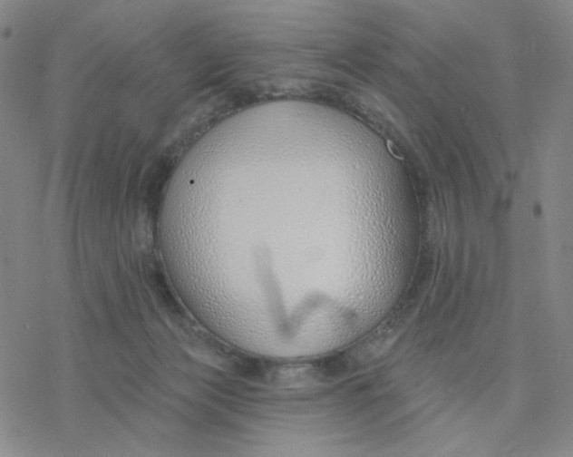 X0000076400173200610271627