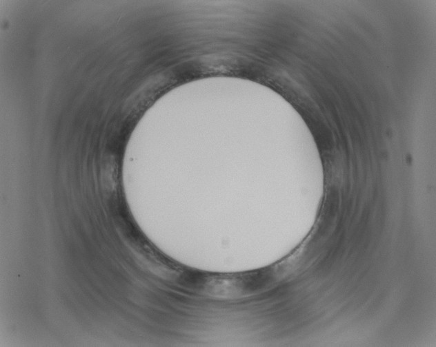 X0000076400174200610271627