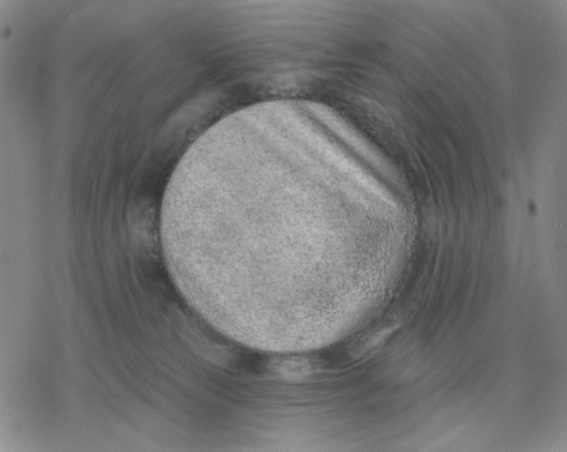 X0000076400181200610271627