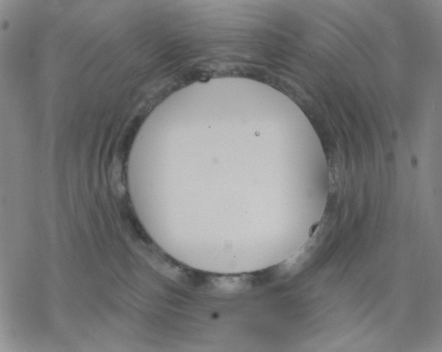 X0000076400187200610271627