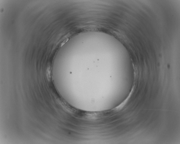 X0000076400190200610271627