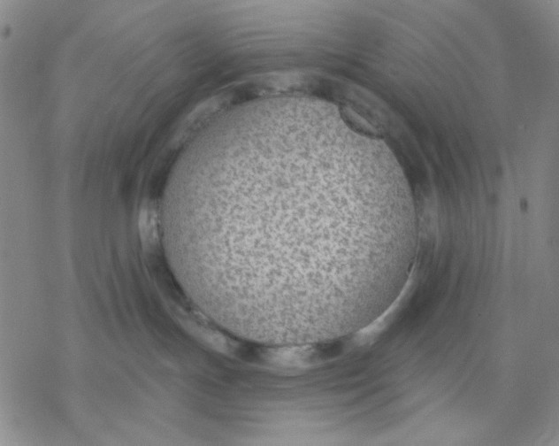 X0000076400191200610271627