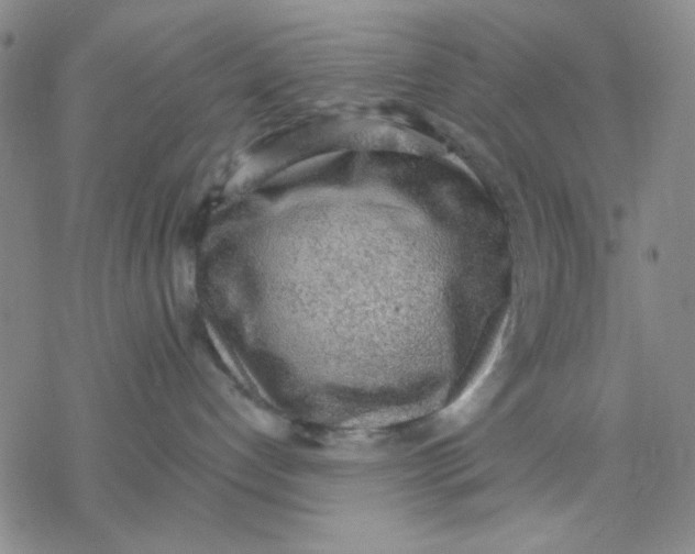 X0000076400192200610271627