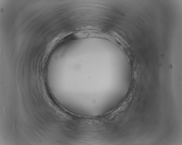 X0000076400193200610271626