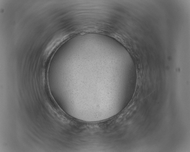 X0000076400194200610271626