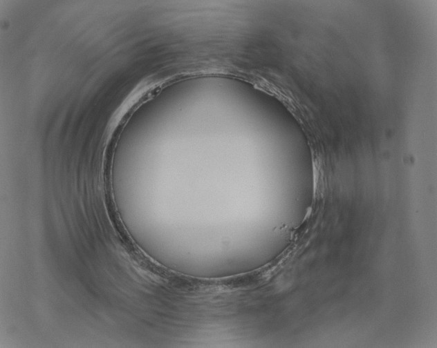 X0000076400195200610271626