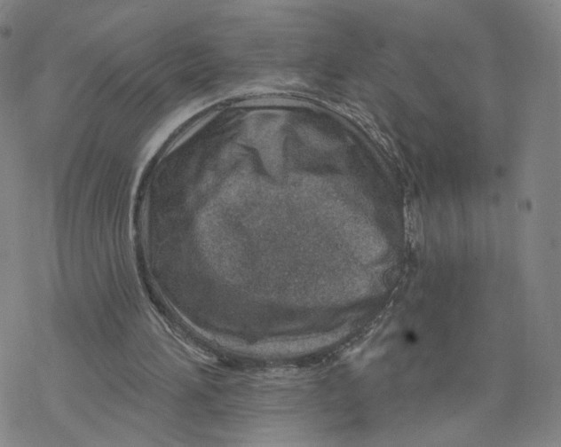 X0000076400196200610271626