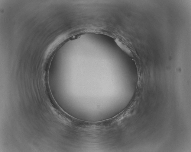 X0000076400197200610271626