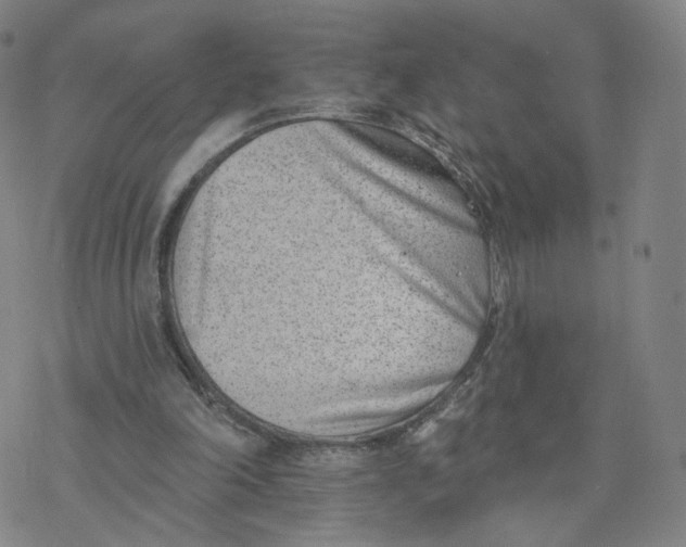 X0000076400198200610271626