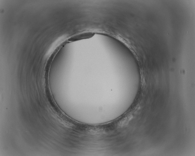 X0000076400199200610271626