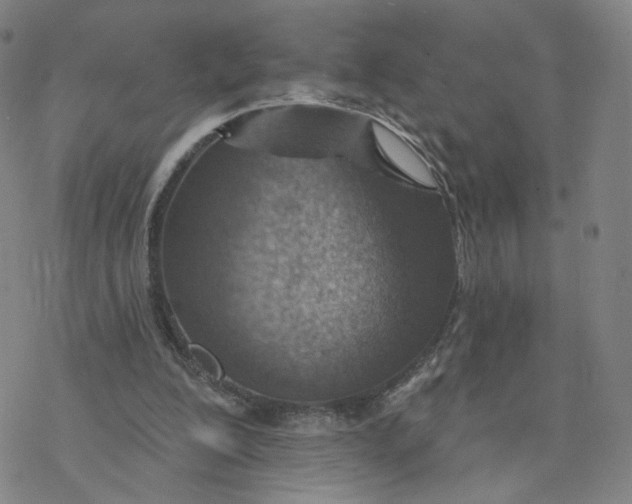 X0000076400200200610271626