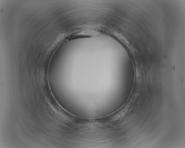 X0000076400201200610271626