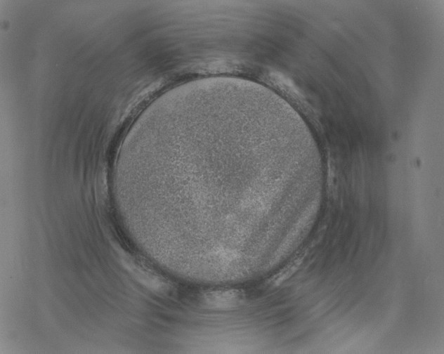 X0000076400202200610271626