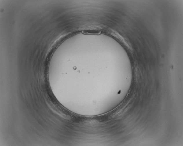 X0000076400203200610271626