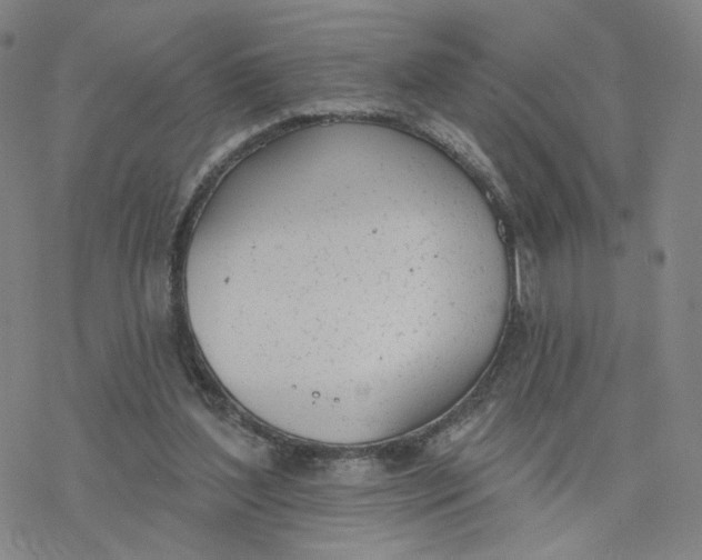 X0000076400204200610271626