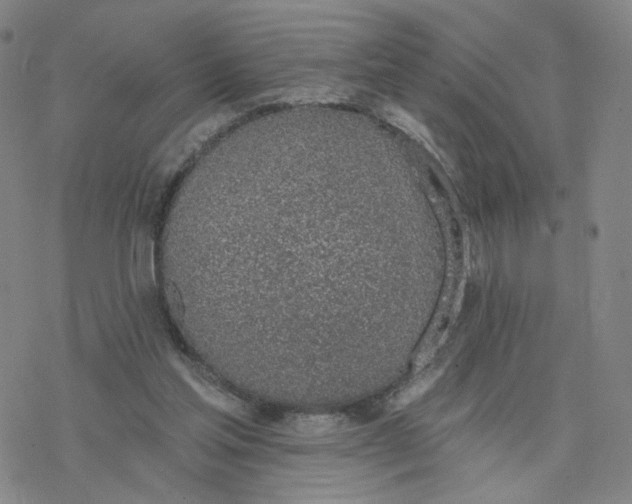 X0000076400205200610271626