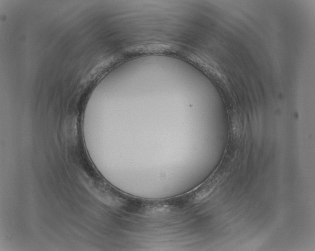 X0000076400206200610271626