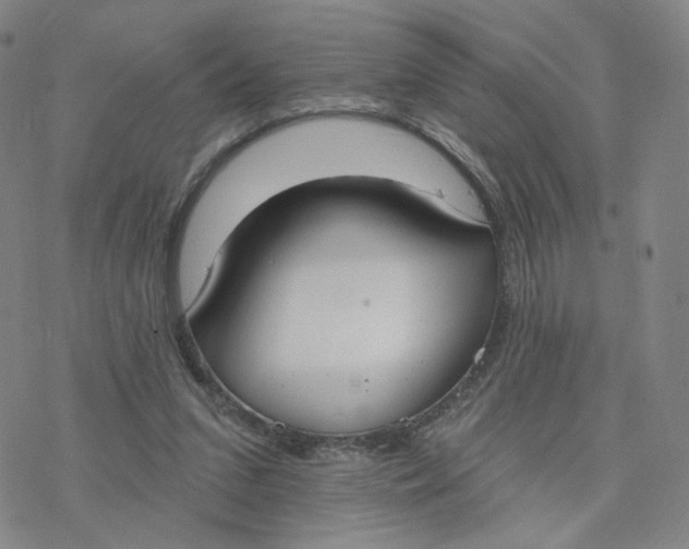 X0000076400207200610271626