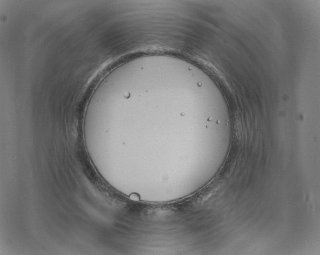 X0000076400208200610271626