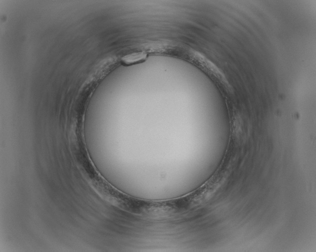 X0000076400209200610271626