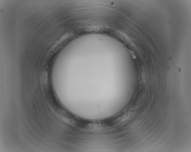 X0000076400211200610271626