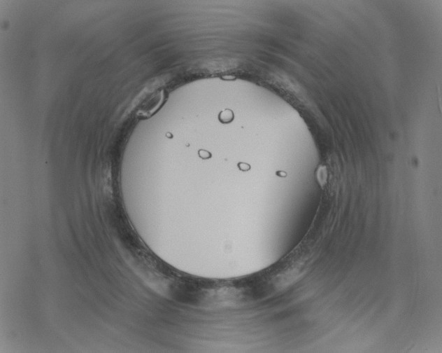 X0000076400212200610271626