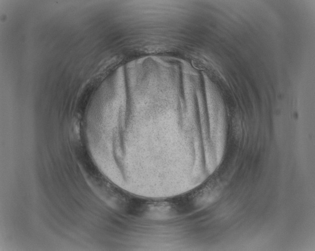 X0000076400214200610271626