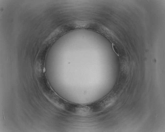 X0000076400215200610271626