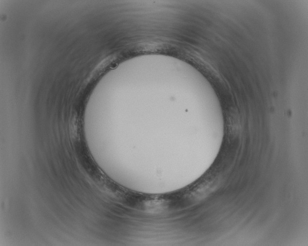 X0000076400216200610271626