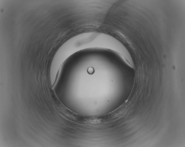 X0000076400217200610271626