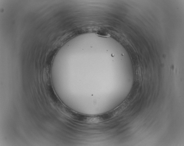 X0000076400218200610271626