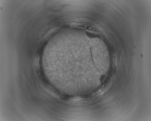 X0000076400219200610271626