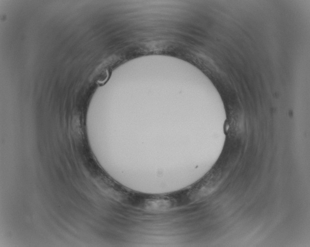 X0000076400220200610271626