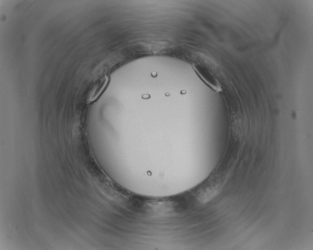 X0000076400221200610271626