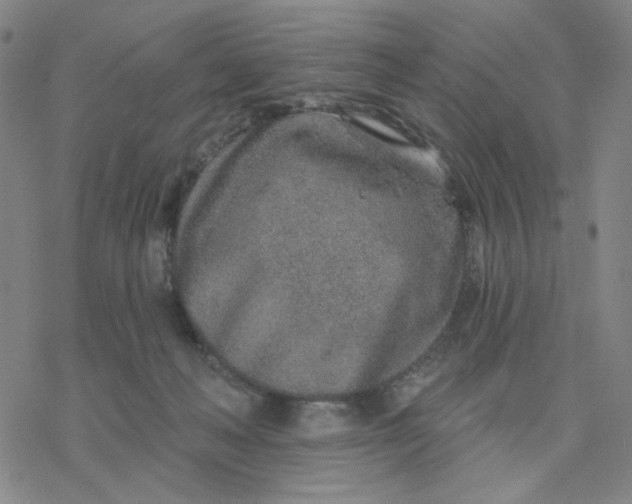 X0000076400222200610271626