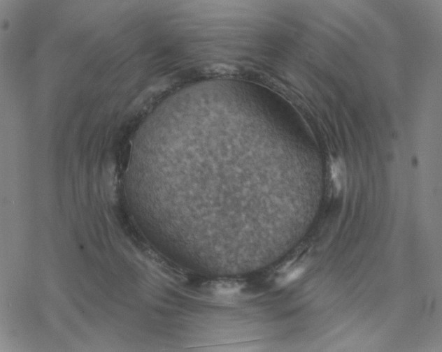 X0000076400223200610271626