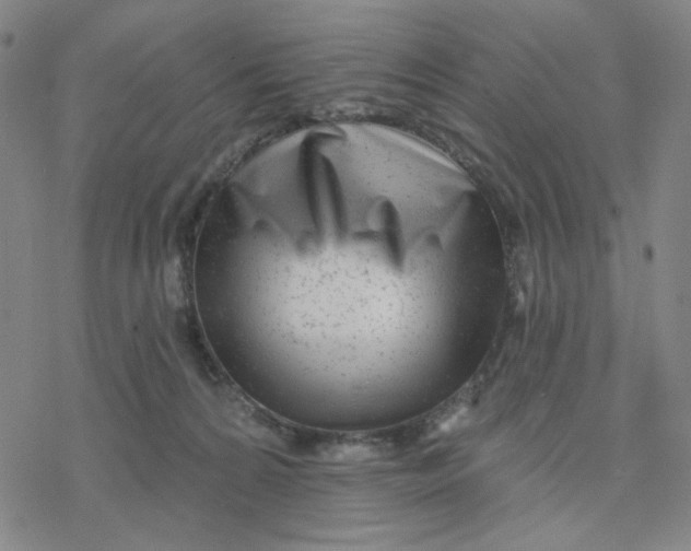 X0000076400224200610271626