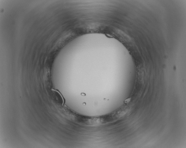 X0000076400225200610271626