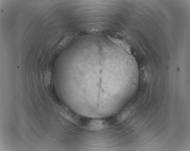 X0000076400227200610271626