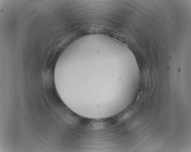 X0000076400228200610271626