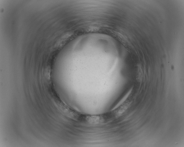 X0000076400230200610271626