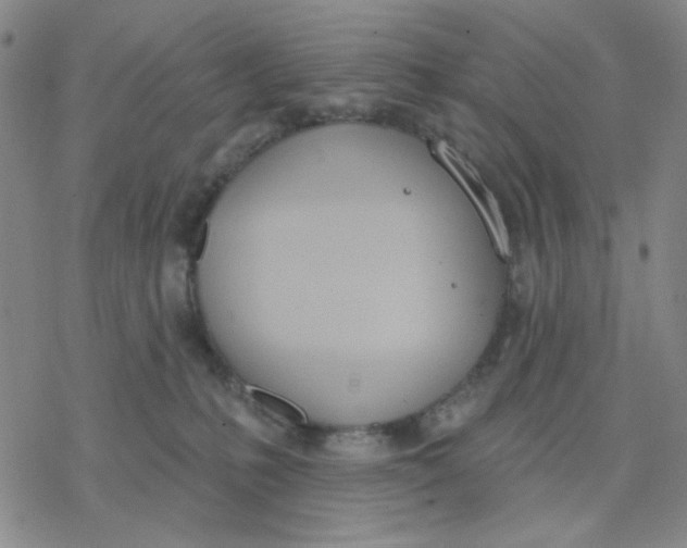 X0000076400231200610271626