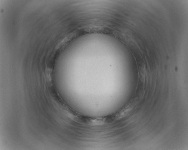 X0000076400232200610271626