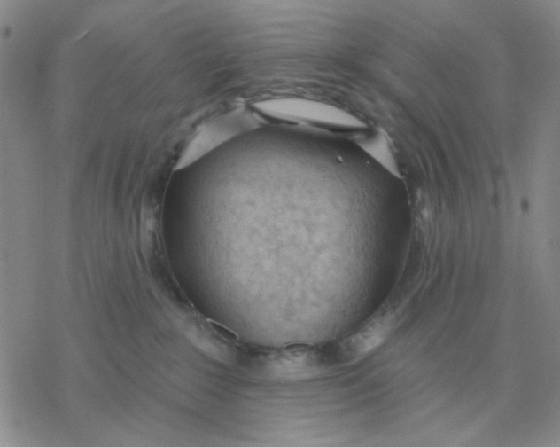 X0000076400235200610271626