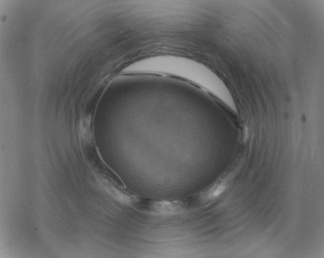 X0000076400239200610271626