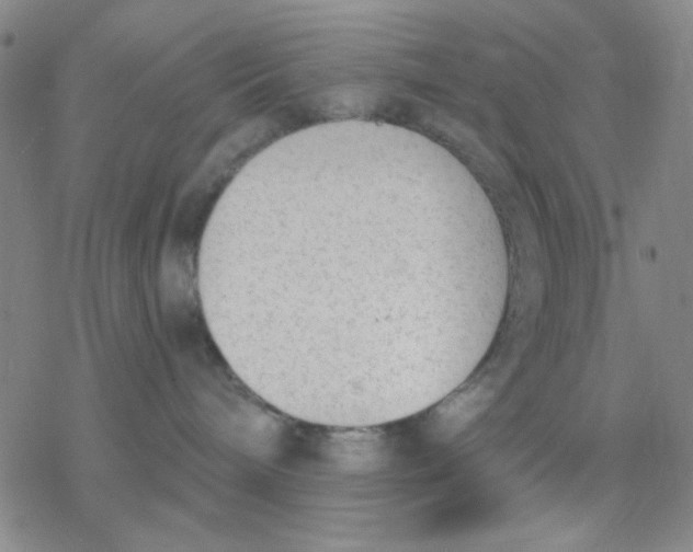 X0000076400240200610271626